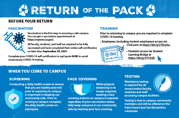 Return of the Pack Infographic Flyer