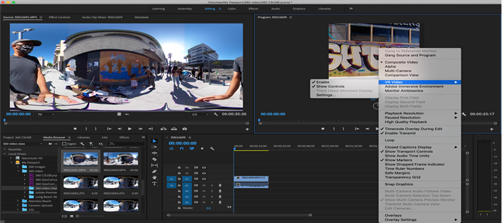 Screenshot of editing software