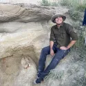 Fossil in sandstone