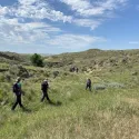 Exploring the ranch