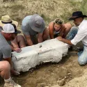 Femur excavation