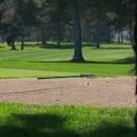 Golf Tournament