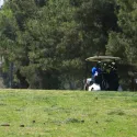 Golf Tournament