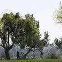 Golf Tournament