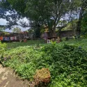 Backyard with table and clothesline