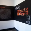 Endomorphism art