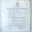 Dominick's Binder
