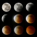 Observatory Gallery_8
