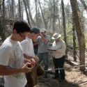 People holding tape in forest