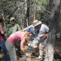 People attaching blue tape to a tree