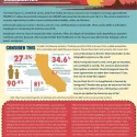 Immigration concept card