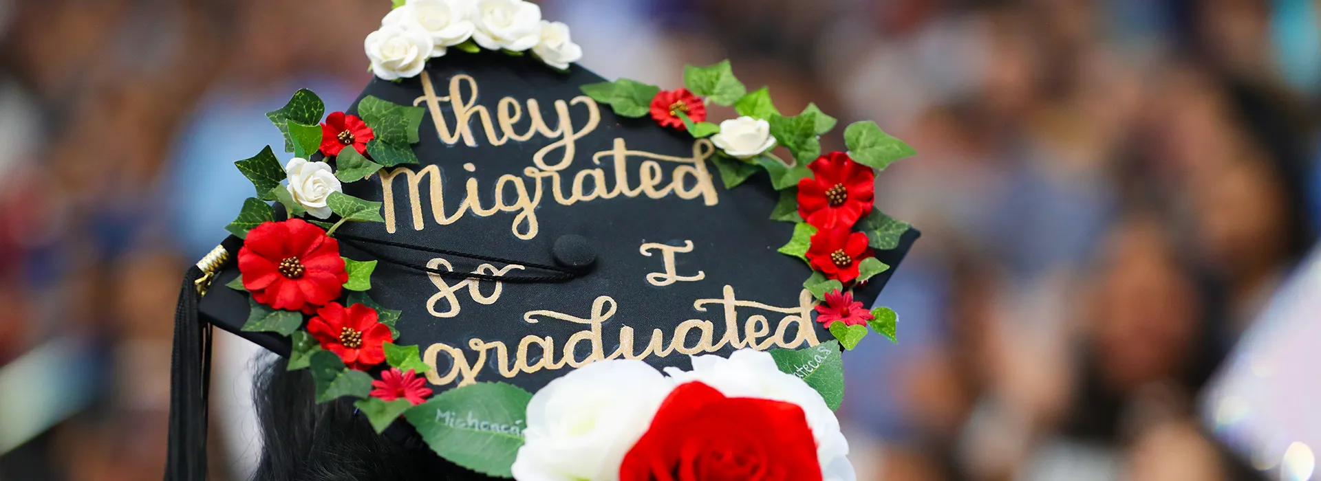 image of decorated graduation cap 