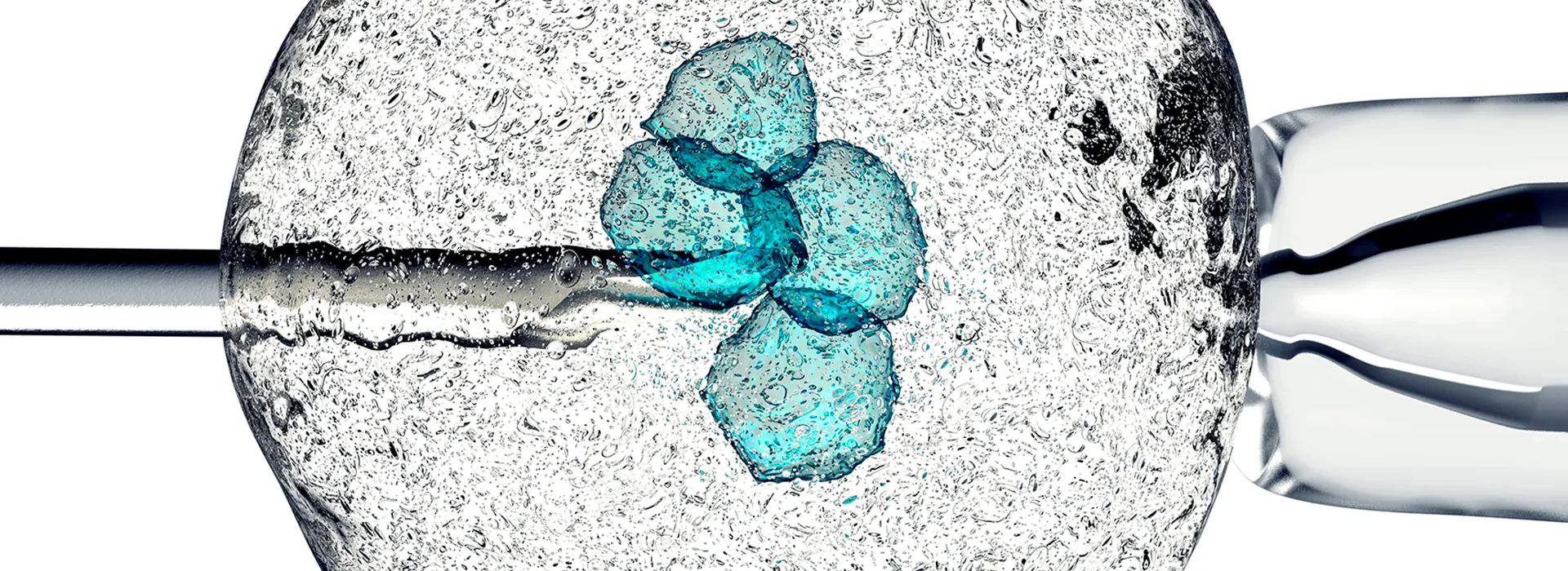 image of microscope slide