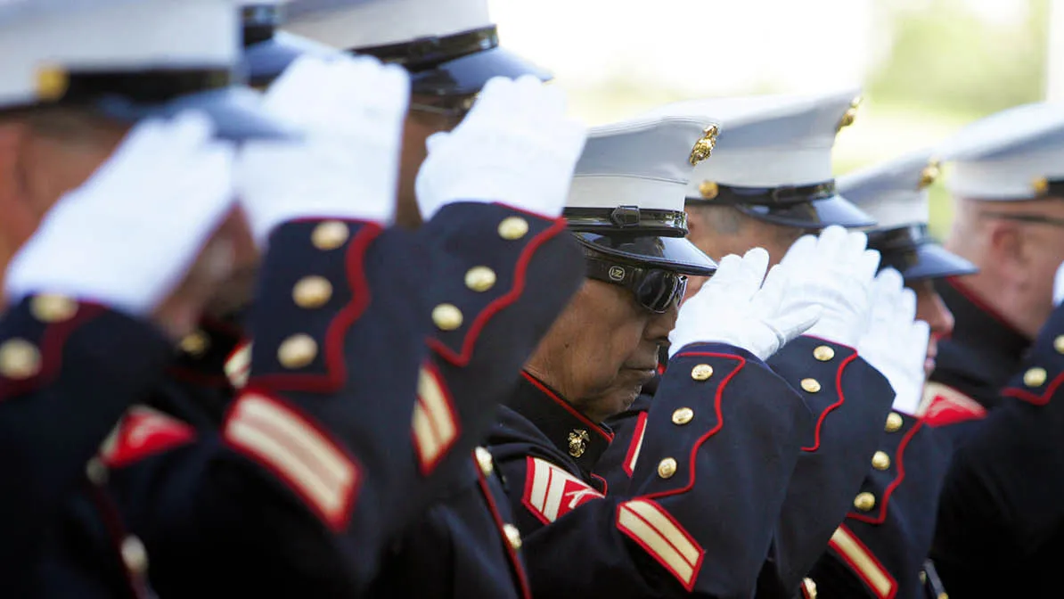 Veterans Day file art