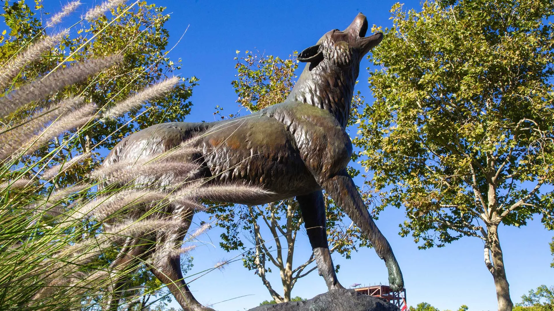 Wild Song statue