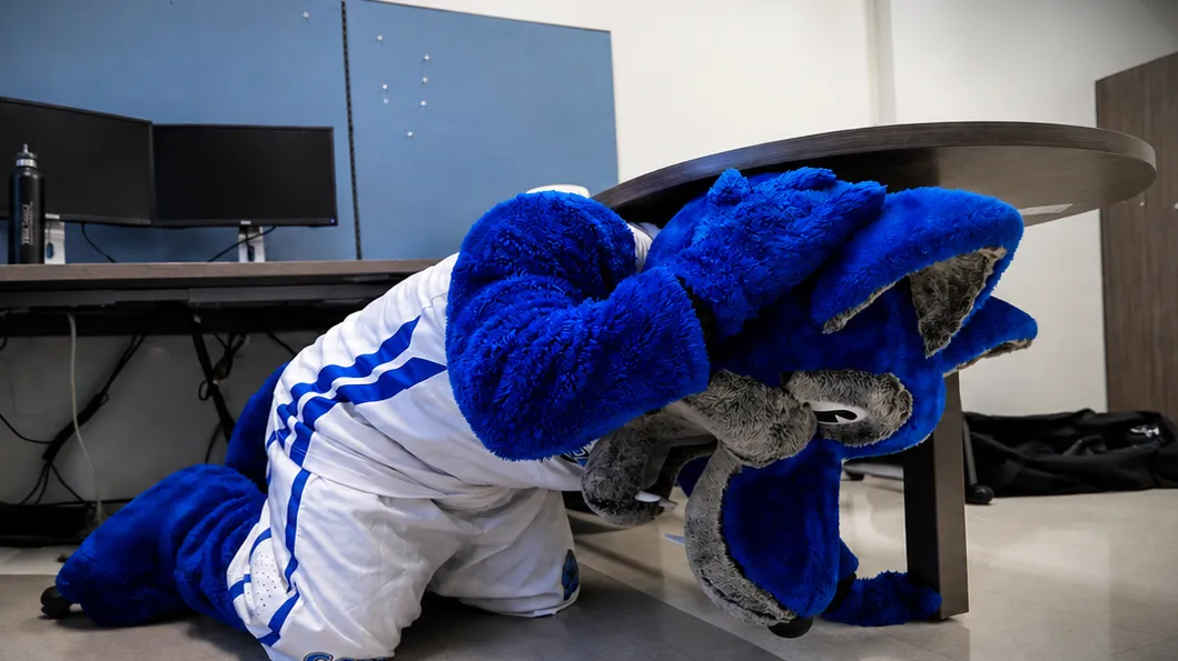 Cody Coyote takes cover under a desk at a previous Great ShakeOut earthquake drill. Background on the edges was expanded with AI.