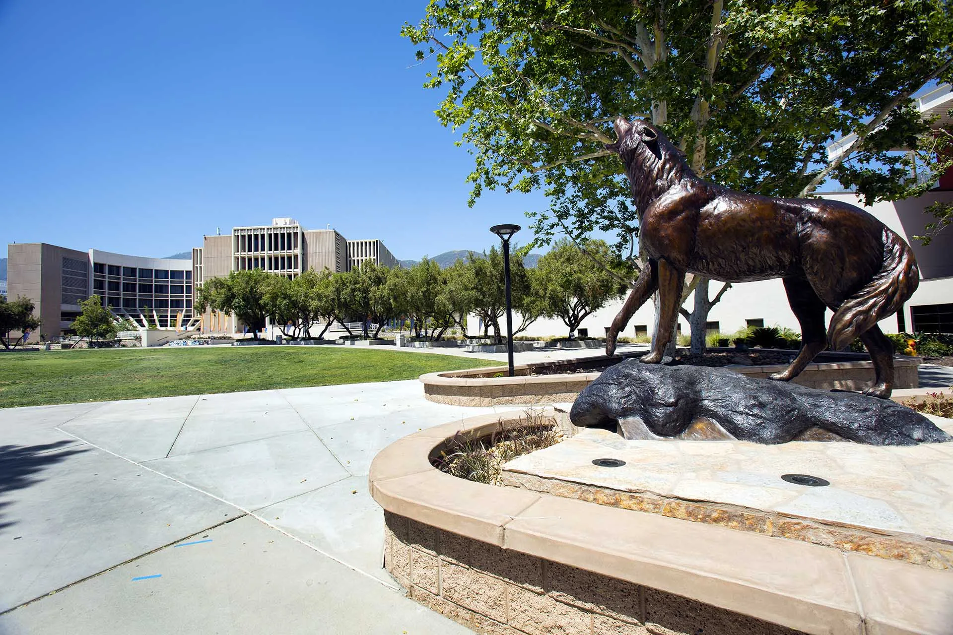 Wild Song statue and the John M. Pfau Library in the background