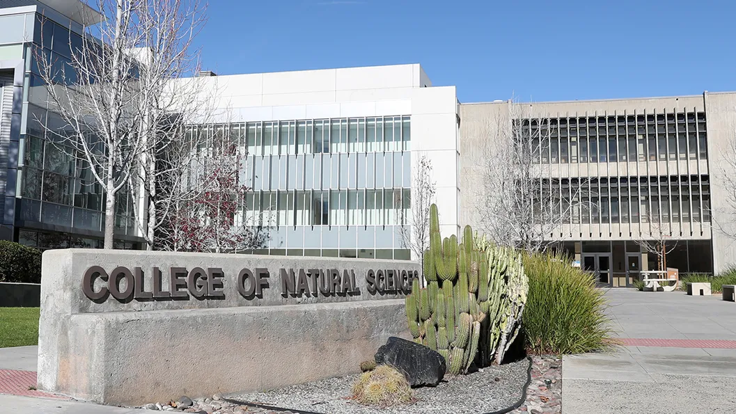 The College of Natural Sciences