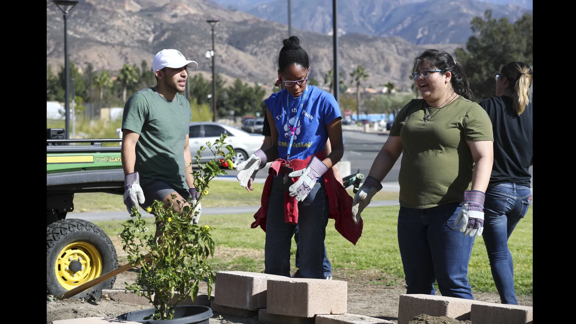 Students planting a tree on campus.