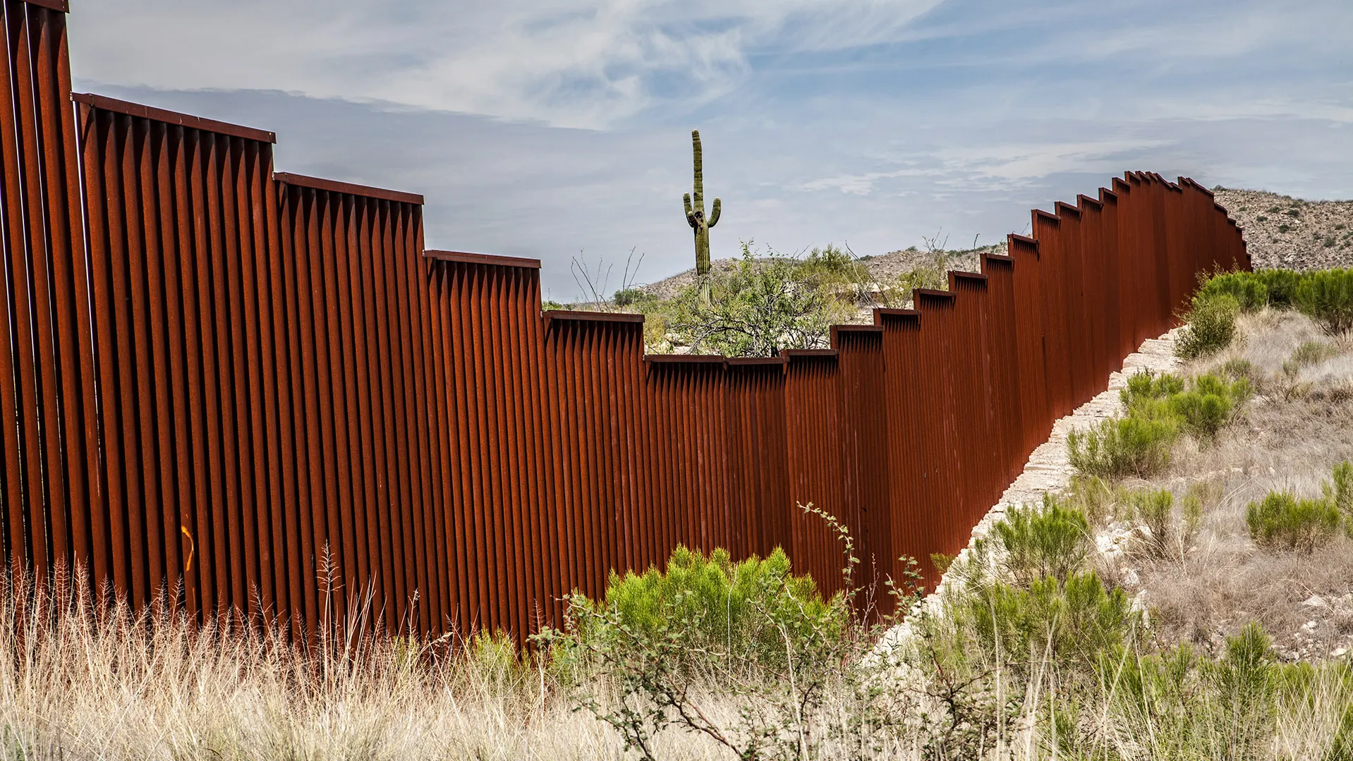 A border fence.