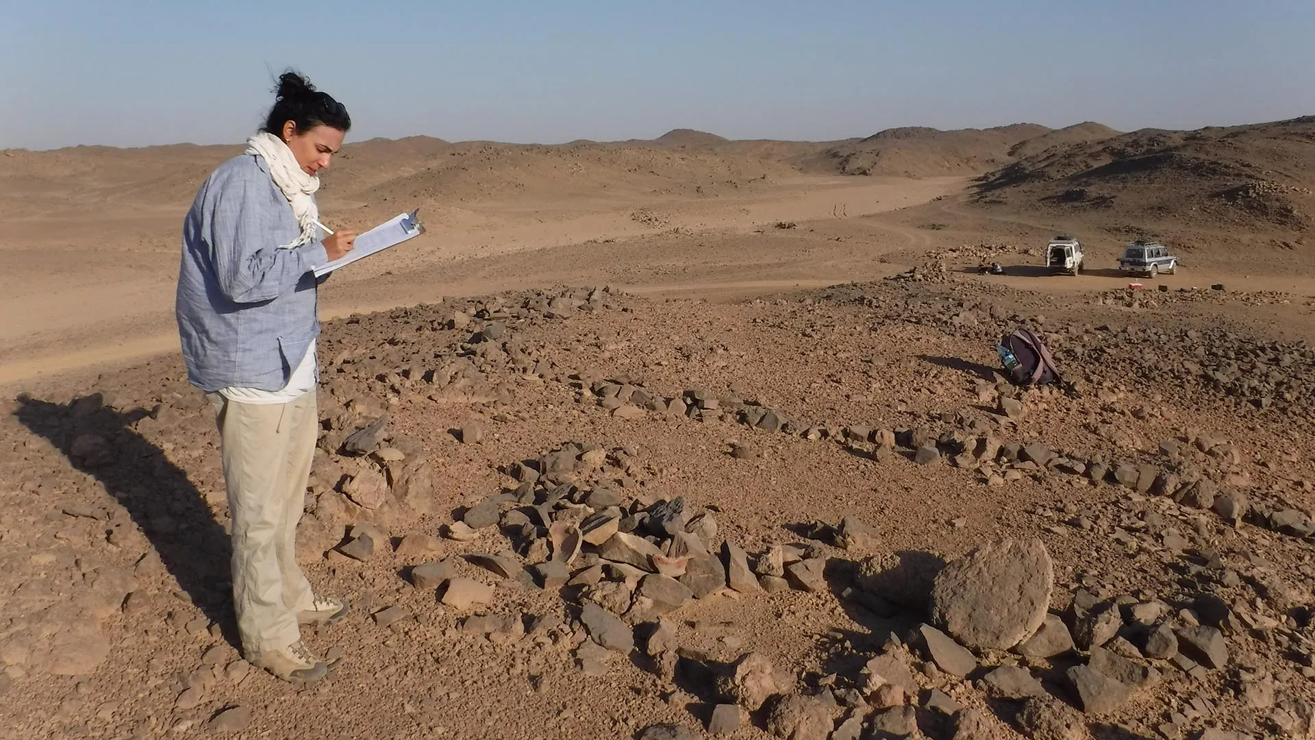 The Charles Harris Excavation Grant will help to fund a small, socially distanced, and safely executed archaeological seasons