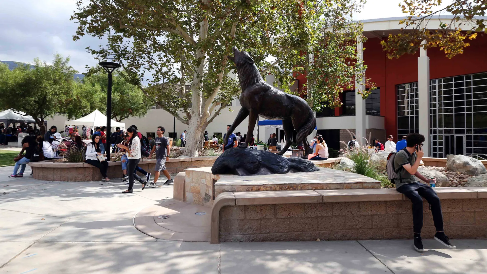 CSU apply deadline extended to Dec. 15 CSUSB News CSUSB