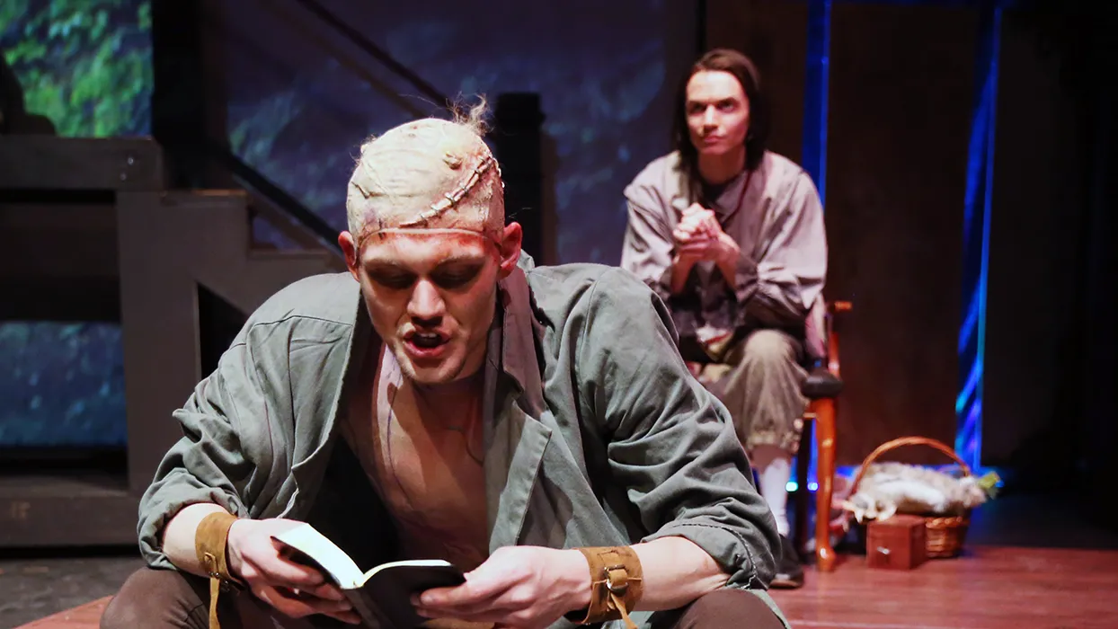 This fresh perspective on the life of Dr. Victor Frankenstein is a chilling story of great triumph and the gravest tragedy