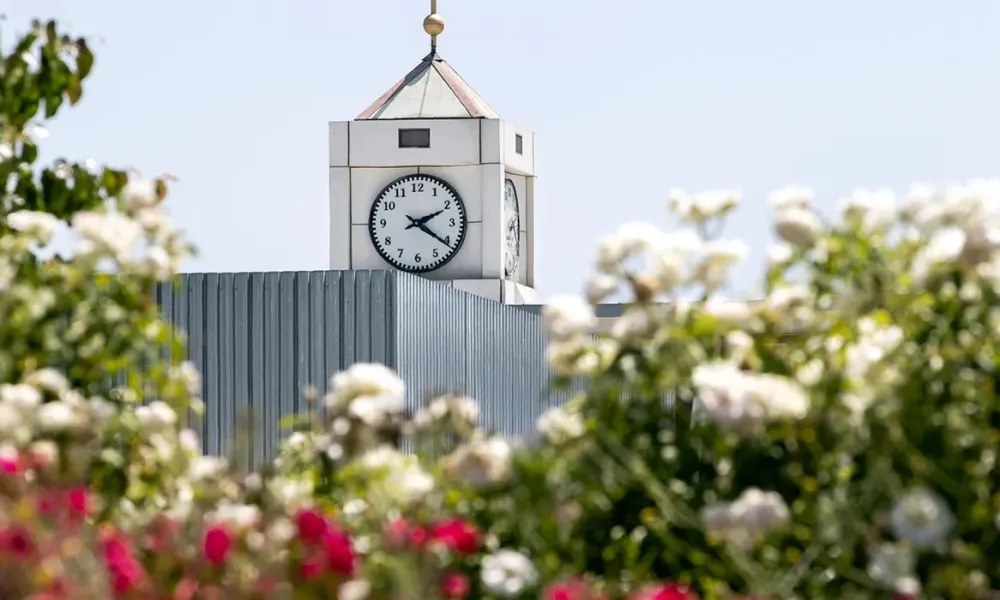 Clock tower at CSUSB in background with flowers in foreground