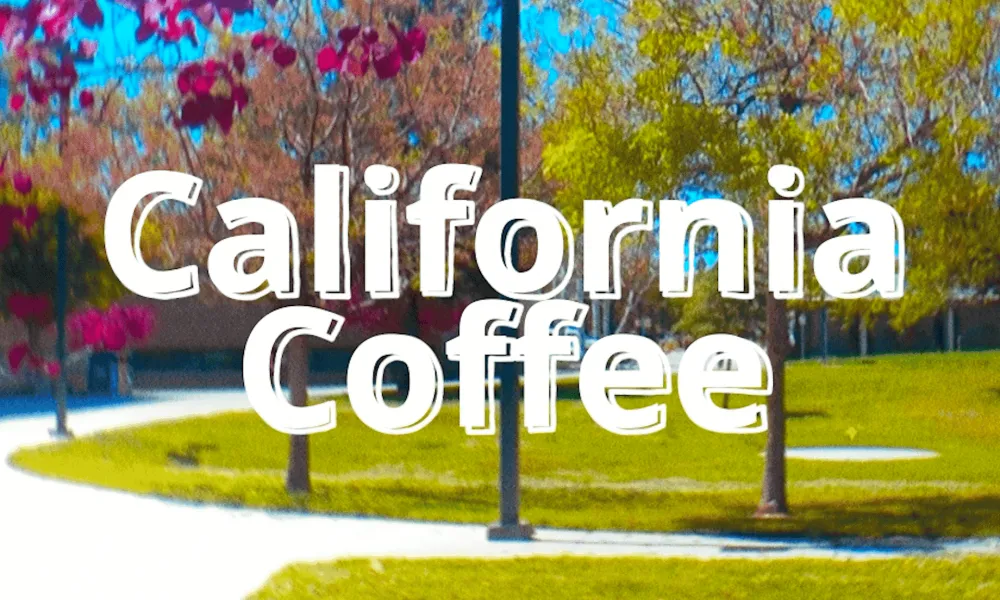 California Coffee Horizontal Poster