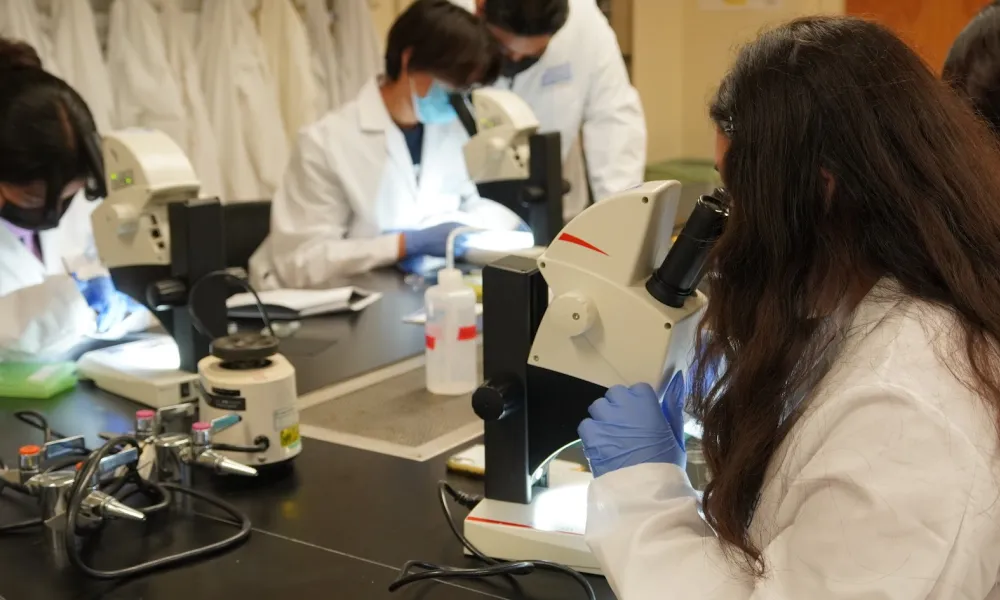 UB Lab Picture