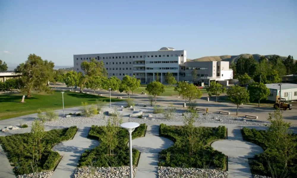 college of business