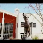 Coyote statue