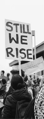 Still we Rise