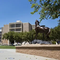 Wild Song, John M. Pfau Library