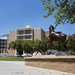 Wild Song and the John M. Pfau Library.