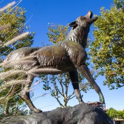 Wild Song statue