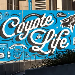 Coyote for Life wall on the CSUSB campus