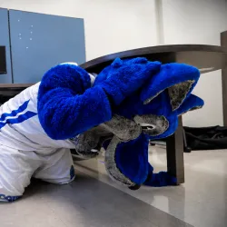 Cody Coyote takes cover under a desk at a previous Great ShakeOut earthquake drill. Background on the edges was expanded with AI.