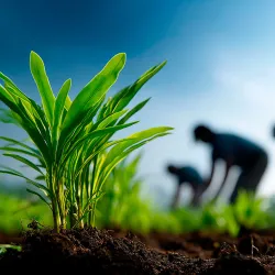 Photo illustrating farm work.