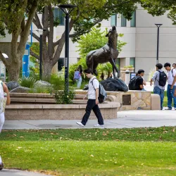 CSUSB Campus