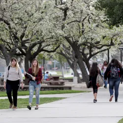 Students walking on CSUSB campus