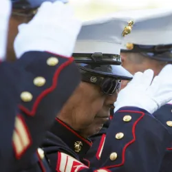 veteran saluting pictured