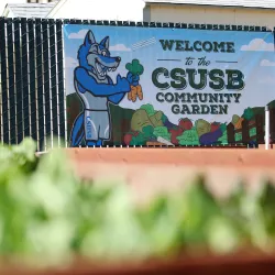 The CSUSB Community Garden 