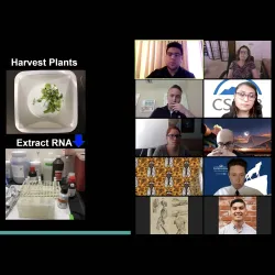 Meeting of the Minds virtual
