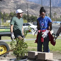 Students planting a tree on campus.