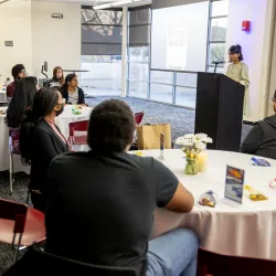 Attendees at the program “South Asian Stories at Sunset.”