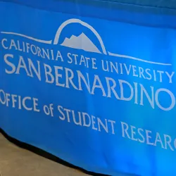 The 10 students will showcase their work at the 35th annual California State University Student Research Competition on April 30-May 1.