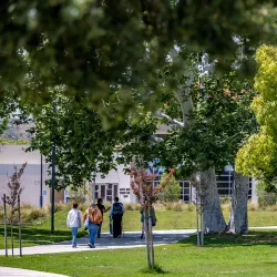 People on campus walking past trees.
