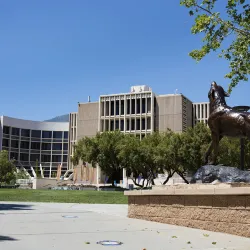 Wild Song and the John M. Pfau Library.