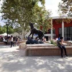 The California State University will extend its fall 2021 priority application deadline to Tuesday, Dec. 15.